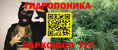 гашик Можайск