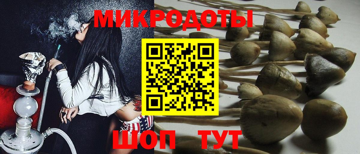 Псилоцибиновые грибы мухоморы  Псилоцибиновые грибы Psilocybe  купить  цена  Соликамск  Вход с VPN 